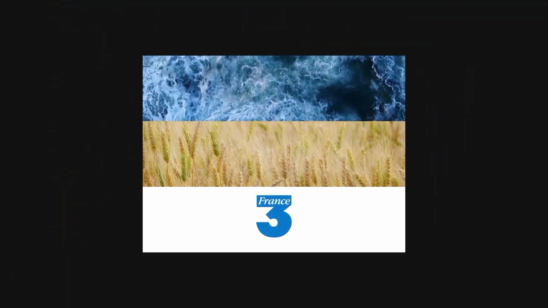 Capture de la vidéo : une reproduction de l'habillage de France 3 en 1992, avec l'écran divisé en trois sections — elles intègrent une vue d'océan, une vue de champ de blé, une bande blanche avec le logo de France 3.