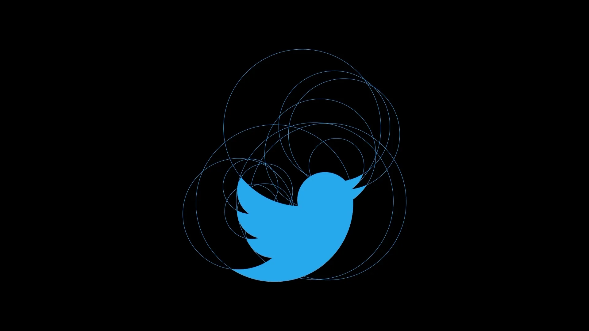 Capture de la vidéo : construction du logo de Twitter, faite à partir de cercles.